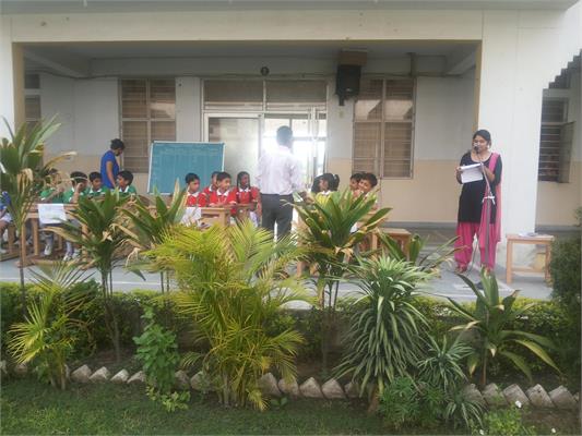 Activity 5-July