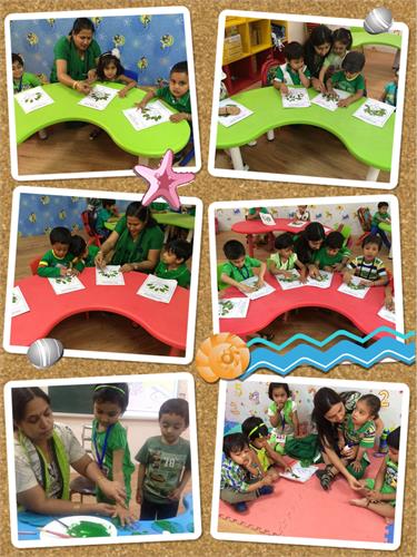 GREEN DAY CELEBRATION