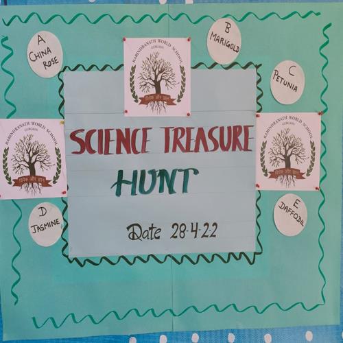 Science Treasure Hunt