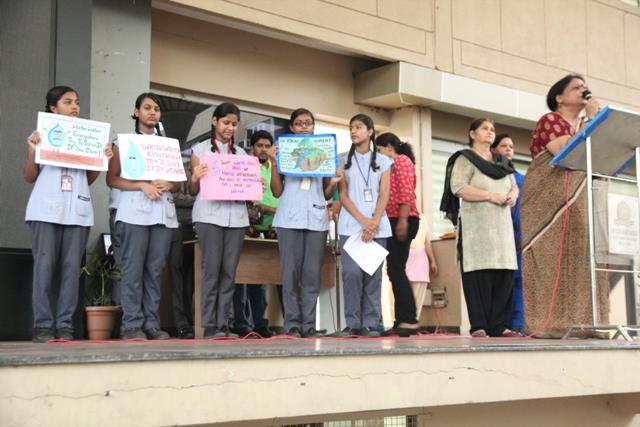 Water Conservation  & Tree Plantation -2016