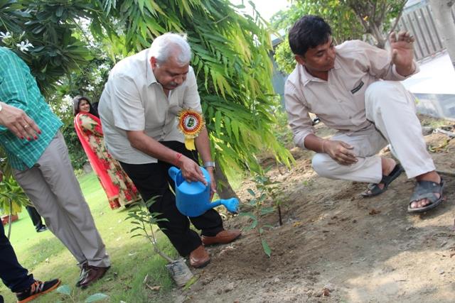 VAN MAHOTSAV-2016