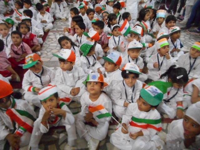 Independence Day Special