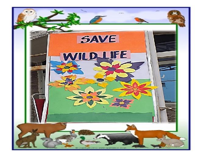 Special assembly Grade I on topic Save wild life
