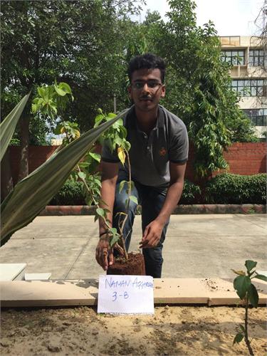 Plantation Drive: One Student One Tree
