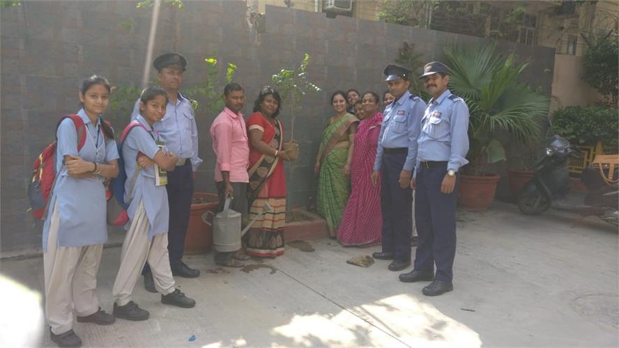 TREE PLANTATION PROGRAM