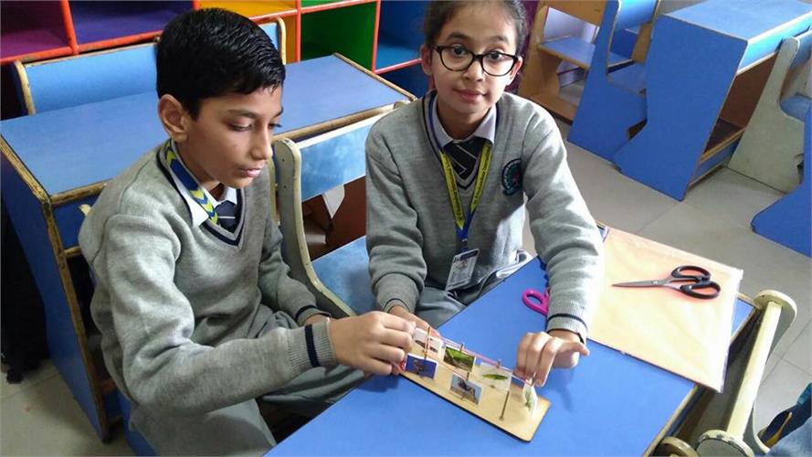 Class IV : Science Activity