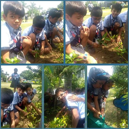 Class II- Plantation Drive