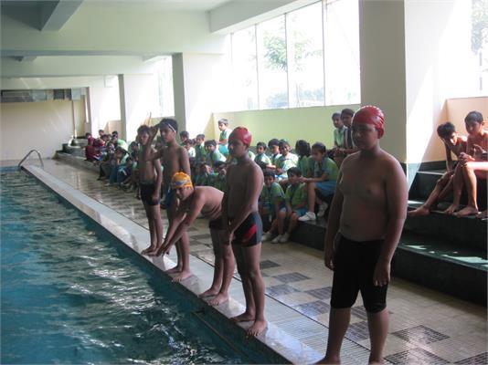 Swimming Gala 2014