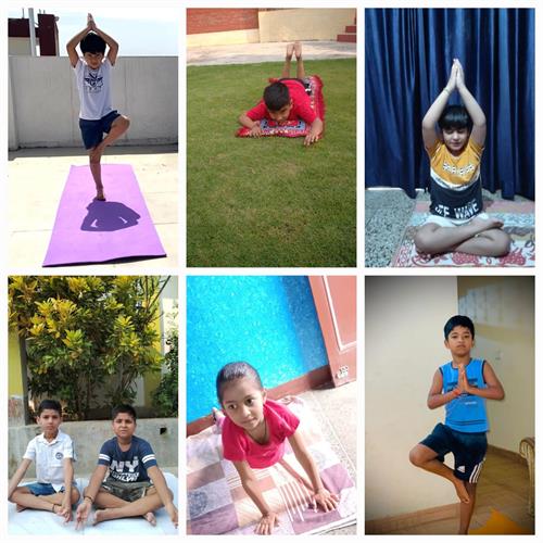 International Yoga Day 2023