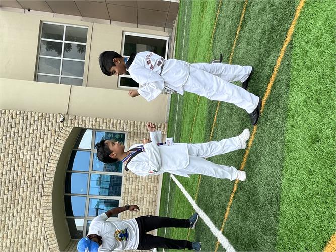 Taekwondo Activity