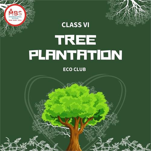 Plantation Drive-(Grade VI)
