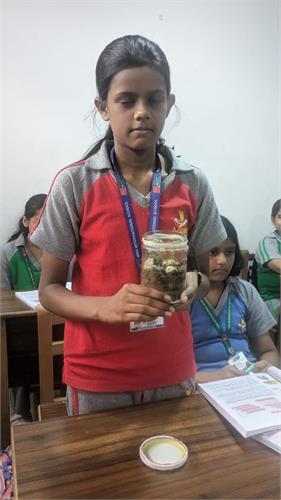 Terrarium Making (Class-VIII)
