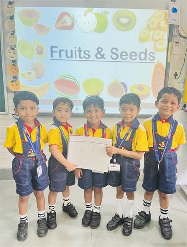 Fruits & Seeds Activity-Nursery & Kindergarten