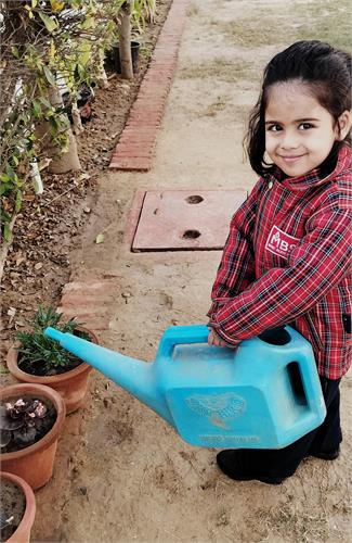 Activity: Plant Life- Nursery & Kindergarten