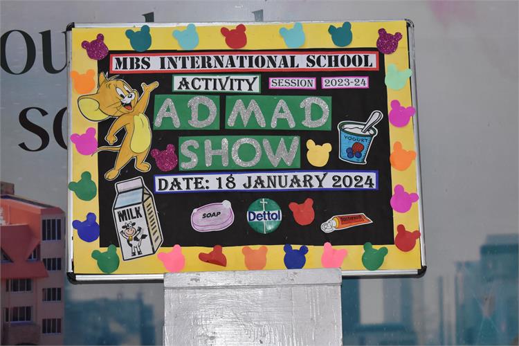 Ad Mad Show Activity- Class II